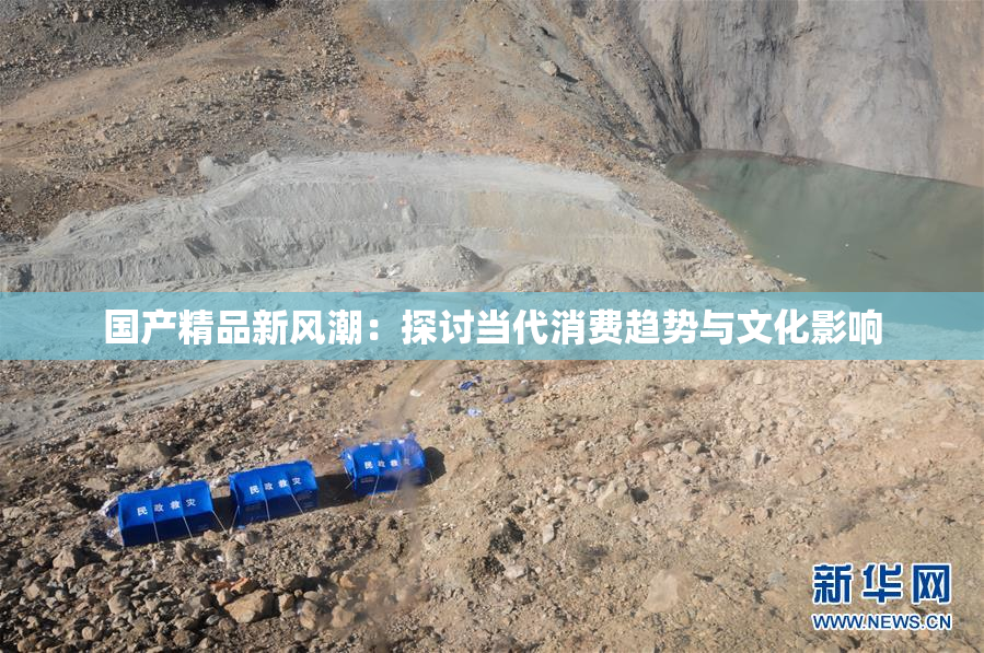 国产精品新风潮：探讨当代消费趋势与文化影响