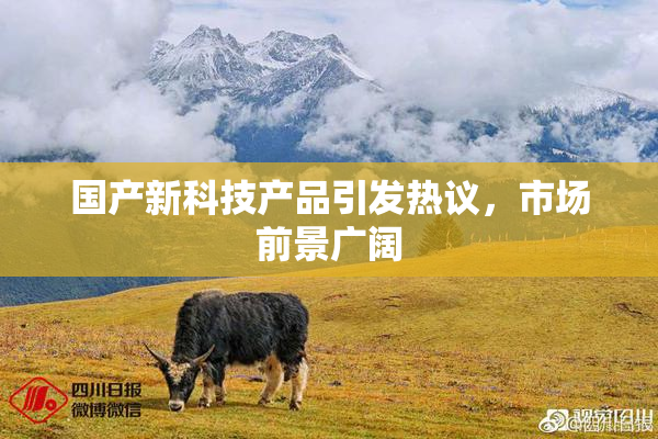 国产新科技产品引发热议，市场前景广阔