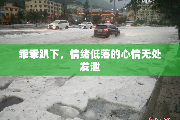 乖乖趴下，情绪低落的心情无处发泄