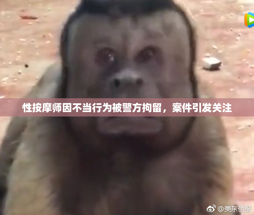 性按摩师因不当行为被警方拘留，案件引发关注