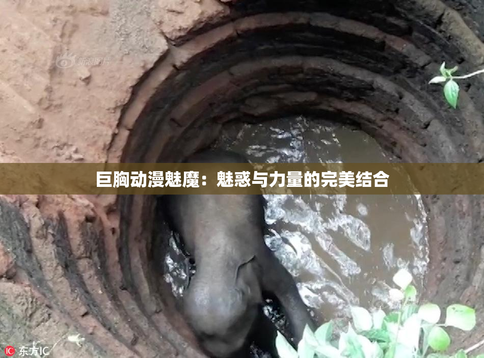 巨胸动漫魅魔：魅惑与力量的完美结合