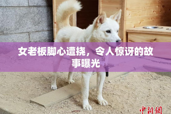 女老板脚心遭挠，令人惊讶的故事曝光