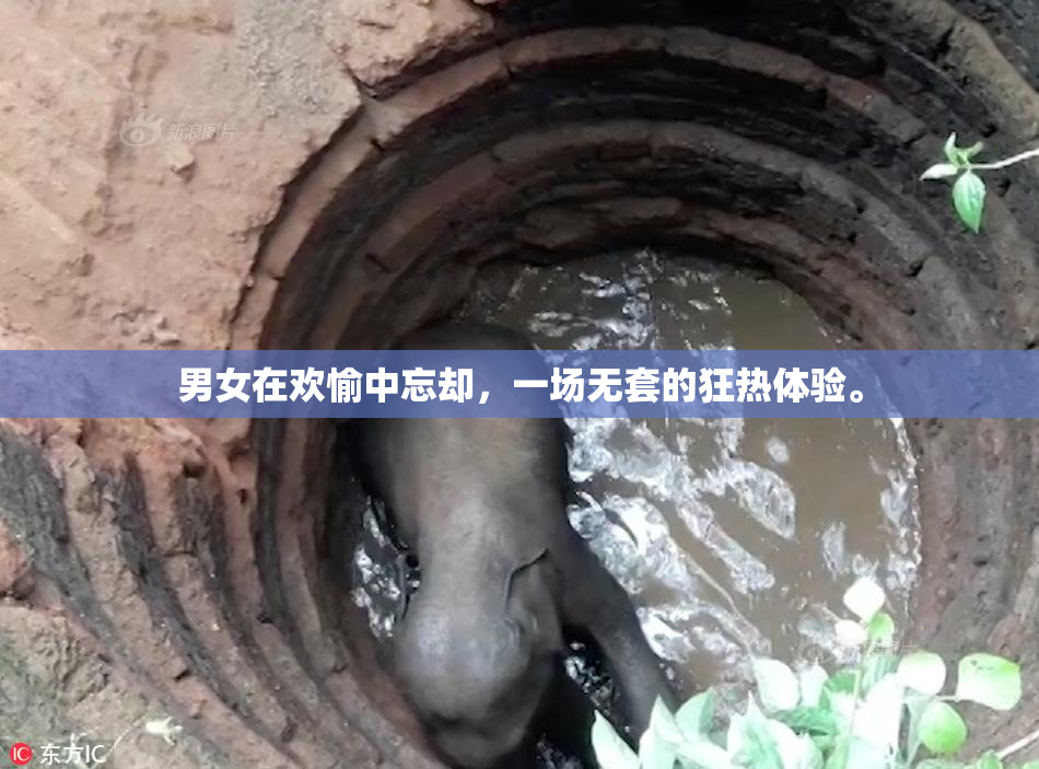 男女在欢愉中忘却，一场无套的狂热体验。