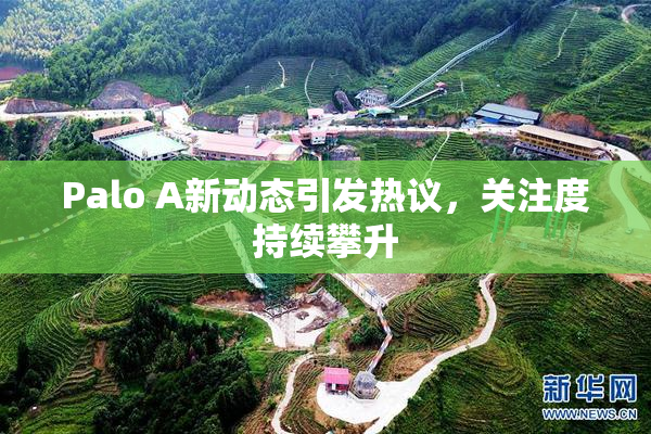 Palo A新动态引发热议，关注度持续攀升