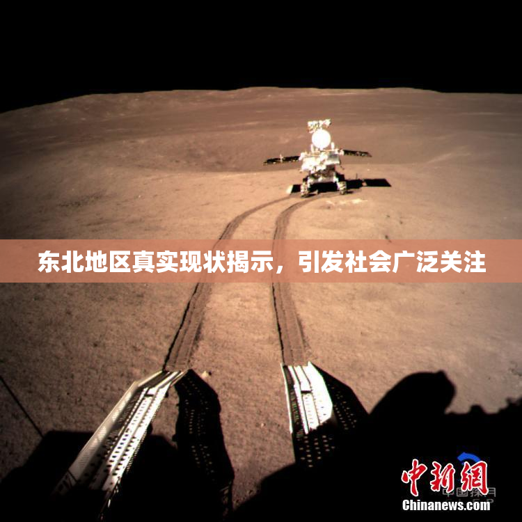 东北地区真实现状揭示，引发社会广泛关注