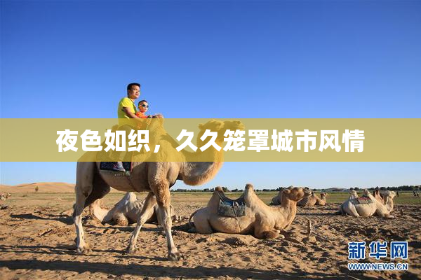 夜色如织，久久笼罩城市风情