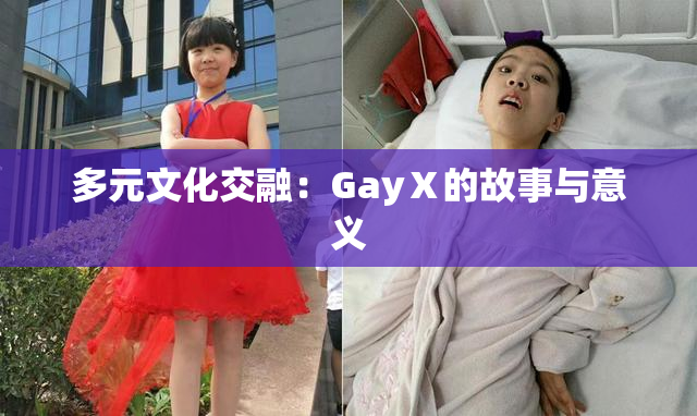 多元文化交融：GayⅩ的故事与意义