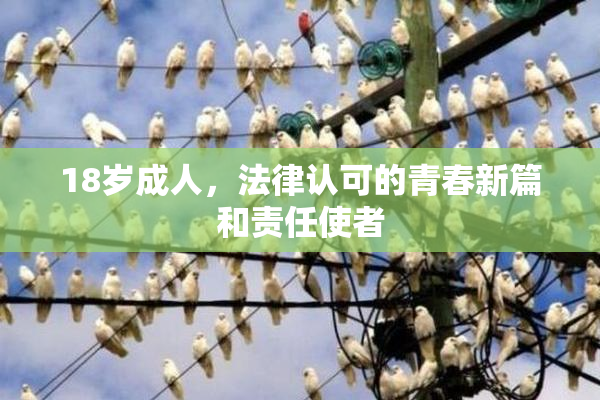18岁成人，法律认可的青春新篇和责任使者