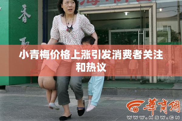 小青梅价格上涨引发消费者关注和热议
