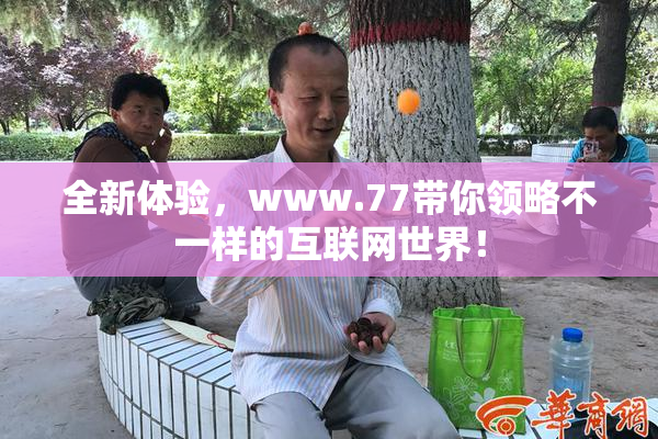 全新体验，www.77带你领略不一样的互联网世界！