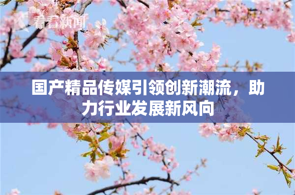 国产精品传媒引领创新潮流，助力行业发展新风向