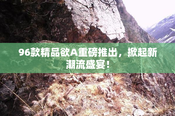 96款精品欲A重磅推出，掀起新潮流盛宴！