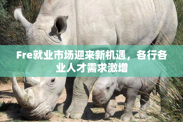 Fre就业市场迎来新机遇，各行各业人才需求激增
