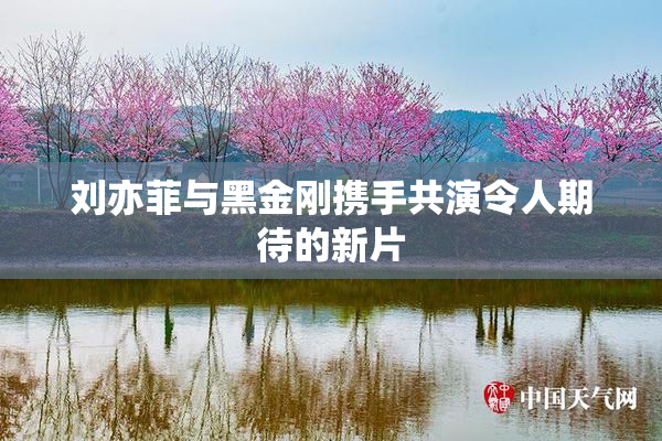 刘亦菲与黑金刚携手共演令人期待的新片