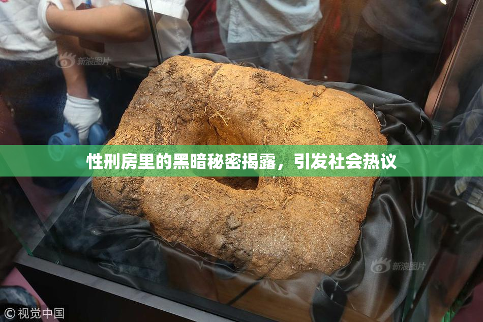 性刑房里的黑暗秘密揭露，引发社会热议
