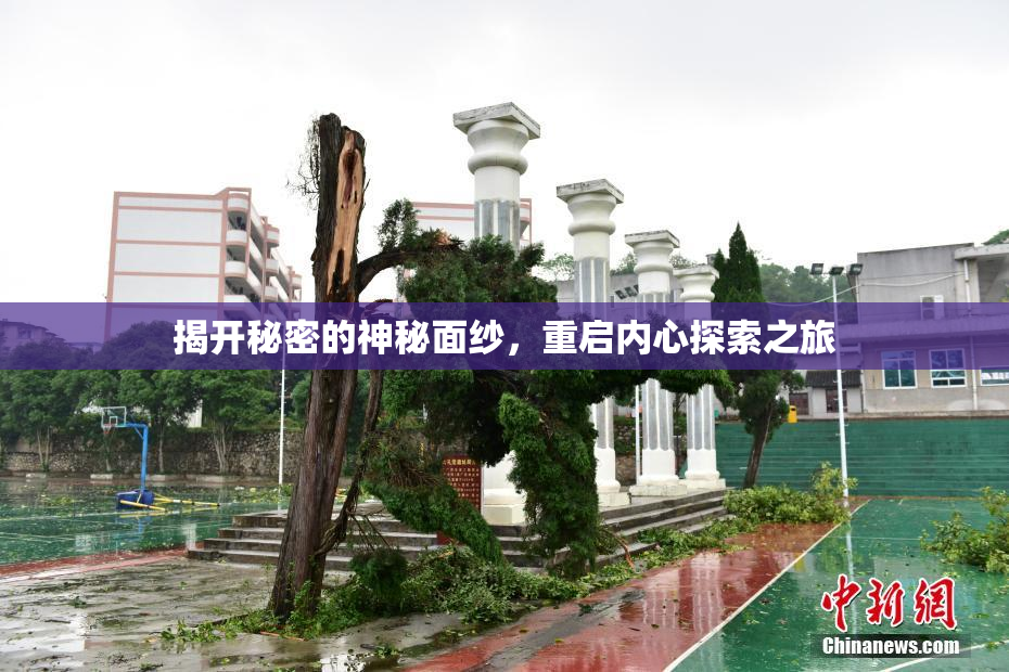 揭开秘密的神秘面纱，重启内心探索之旅
