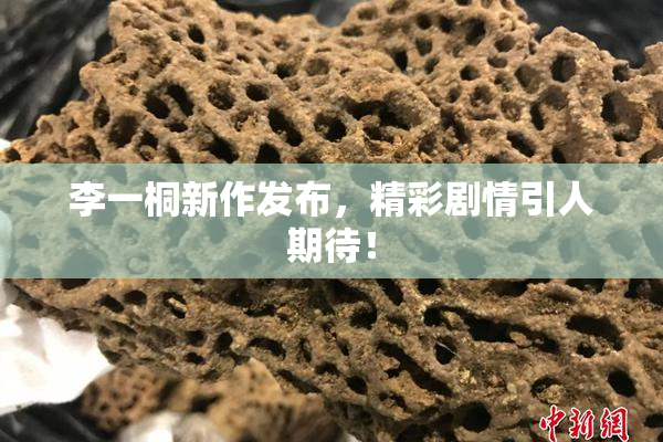 李一桐新作发布，精彩剧情引人期待！
