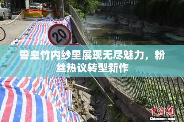 兽皇竹内纱里展现无尽魅力，粉丝热议转型新作