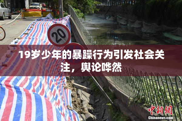 19岁少年的暴躁行为引发社会关注，舆论哗然