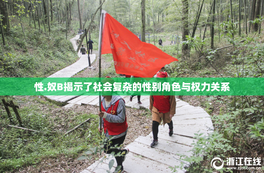 性.奴B揭示了社会复杂的性别角色与权力关系