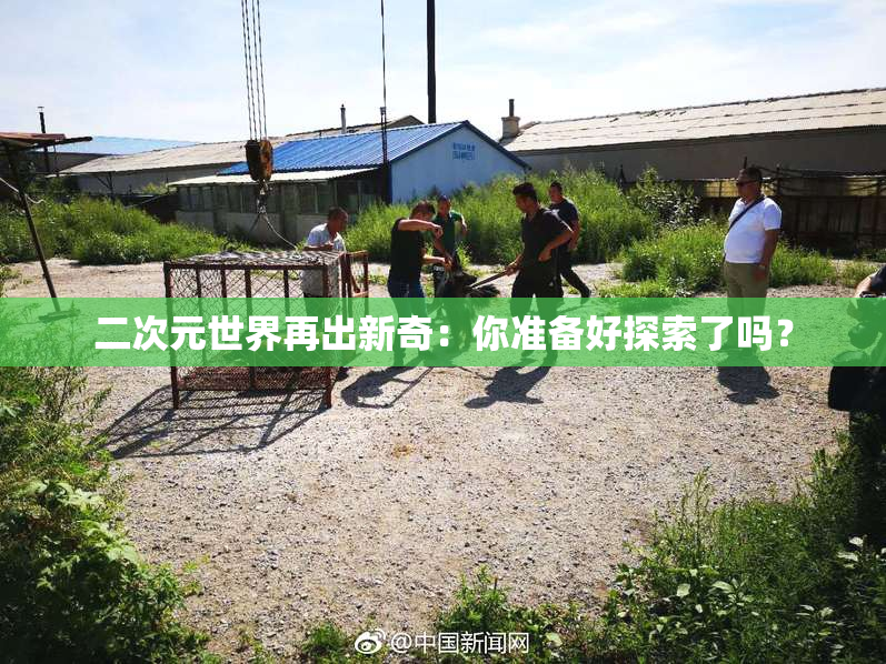 二次元世界再出新奇：你准备好探索了吗？