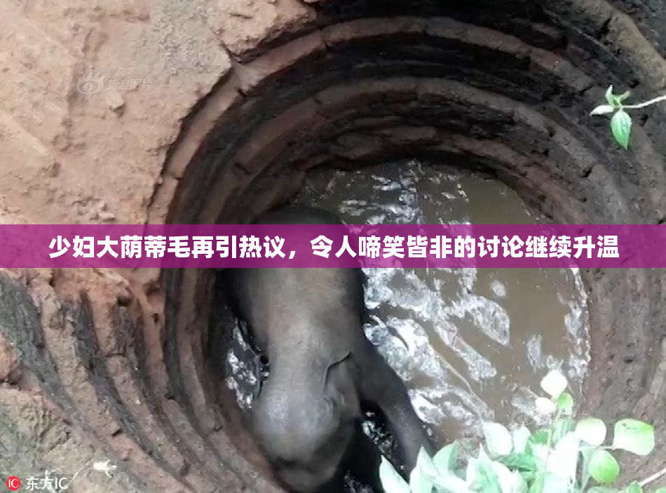 少妇大荫蒂毛再引热议，令人啼笑皆非的讨论继续升温