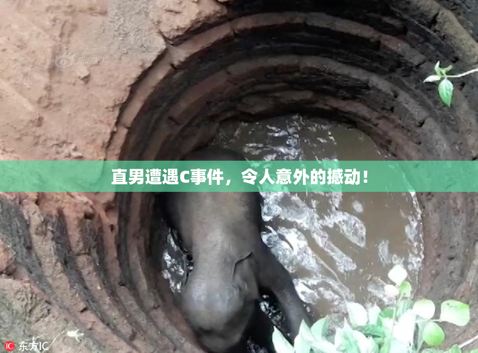 直男遭遇C事件，令人意外的撼动！