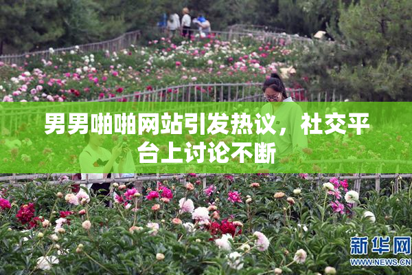 男男啪啪网站引发热议，社交平台上讨论不断