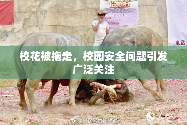 校花被拖走，校园安全问题引发广泛关注
