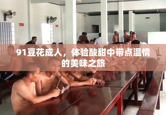 91豆花成人，体验酸甜中带点温情的美味之旅