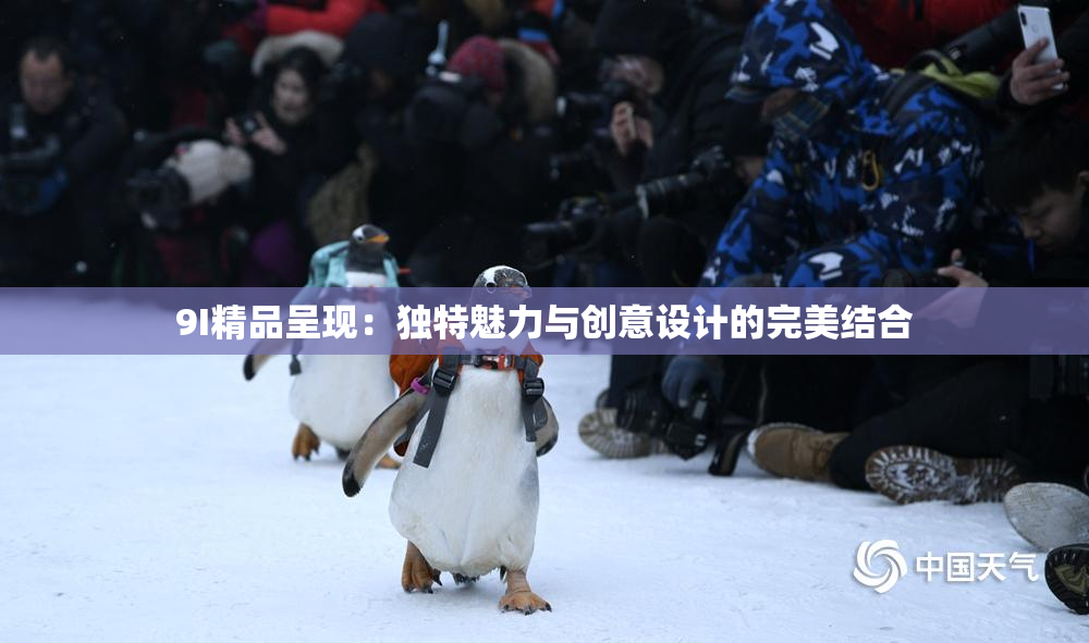 9I精品呈现：独特魅力与创意设计的完美结合