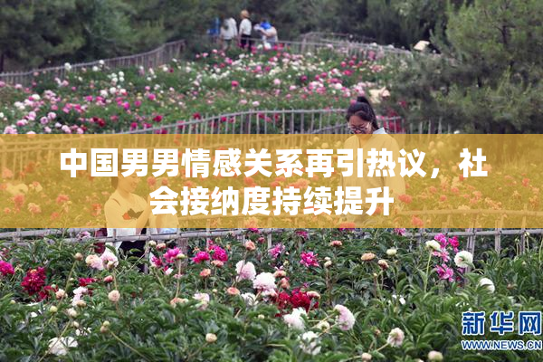 中国男男情感关系再引热议，社会接纳度持续提升