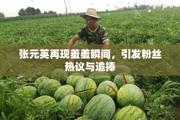 张元英再现羞羞瞬间，引发粉丝热议与追捧