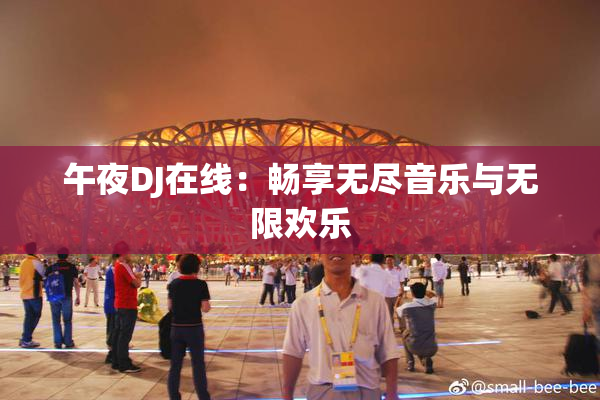 午夜DJ在线：畅享无尽音乐与无限欢乐