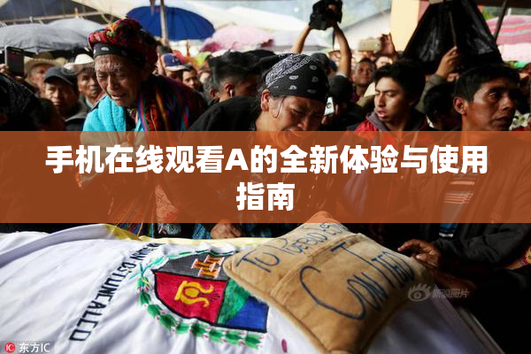 手机在线观看A的全新体验与使用指南