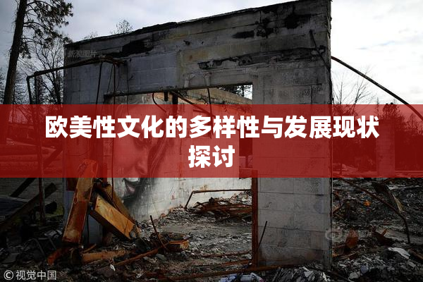 欧美性文化的多样性与发展现状探讨