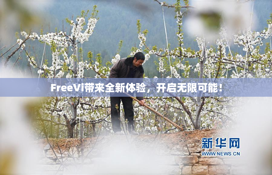 FreeVi带来全新体验，开启无限可能！