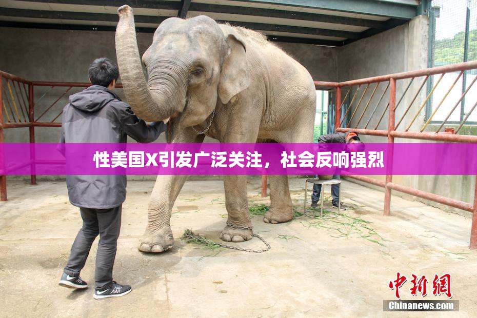 性美国X引发广泛关注，社会反响强烈