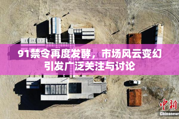 91禁令再度发酵，市场风云变幻引发广泛关注与讨论
