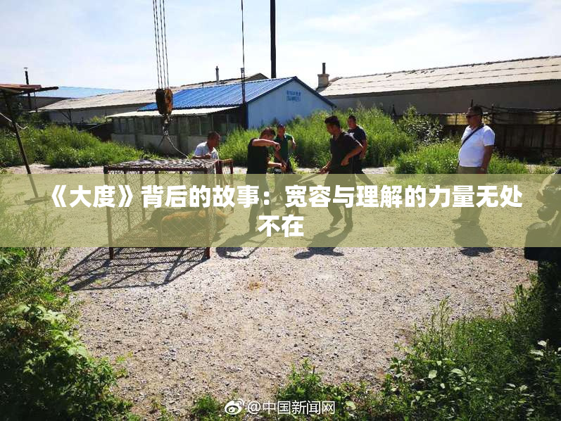 《大度》背后的故事：宽容与理解的力量无处不在