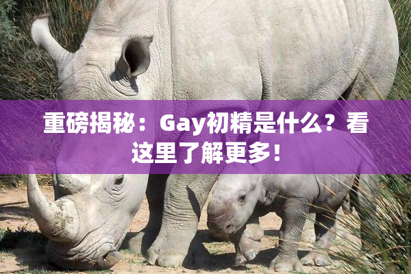 重磅揭秘：Gay初精是什么？看这里了解更多！