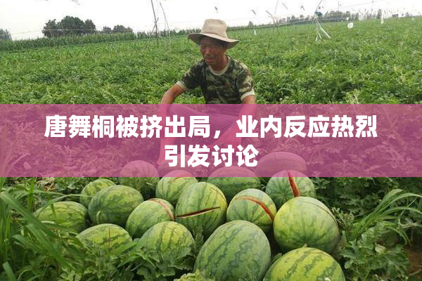 唐舞桐被挤出局，业内反应热烈引发讨论