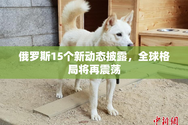 俄罗斯15个新动态披露，全球格局将再震荡