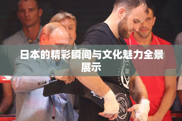 日本的精彩瞬间与文化魅力全景展示