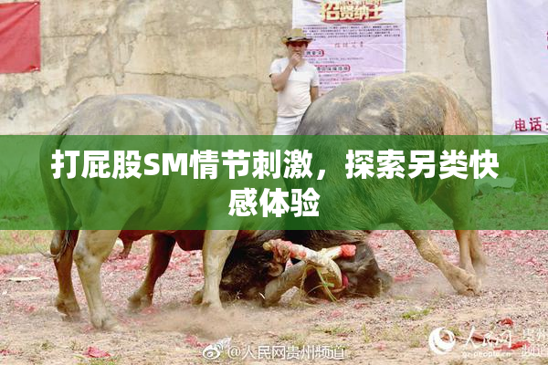 打屁股SM情节刺激，探索另类快感体验