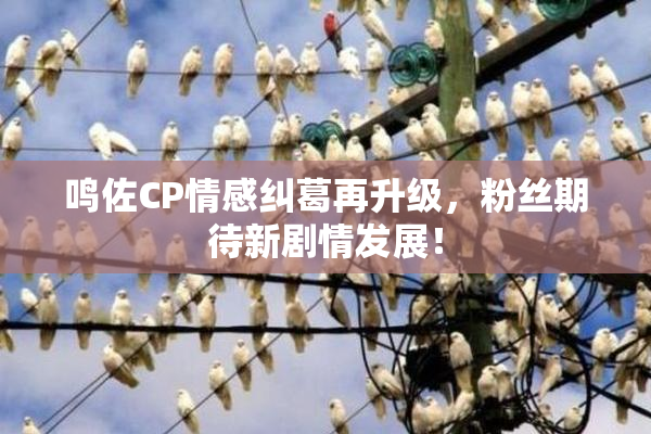 鸣佐CP情感纠葛再升级，粉丝期待新剧情发展！