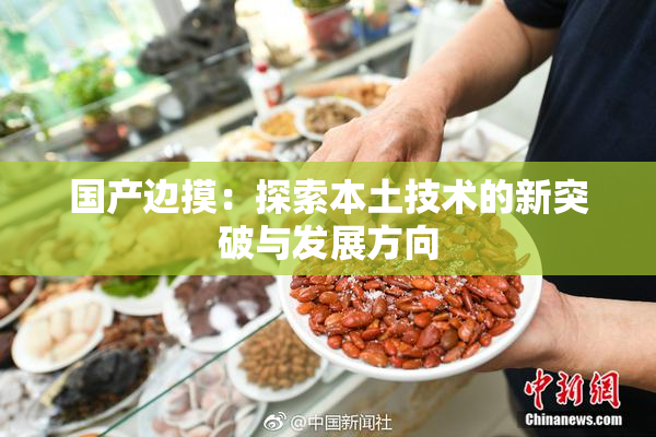 国产边摸：探索本土技术的新突破与发展方向