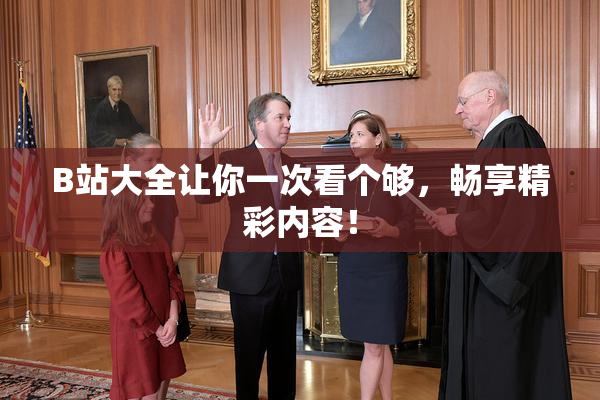 B站大全让你一次看个够，畅享精彩内容！