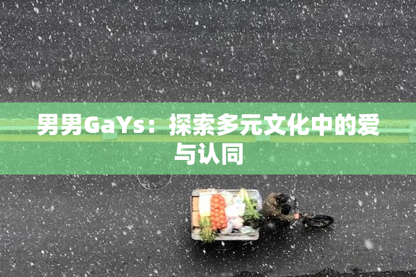 男男GaYs：探索多元文化中的爱与认同
