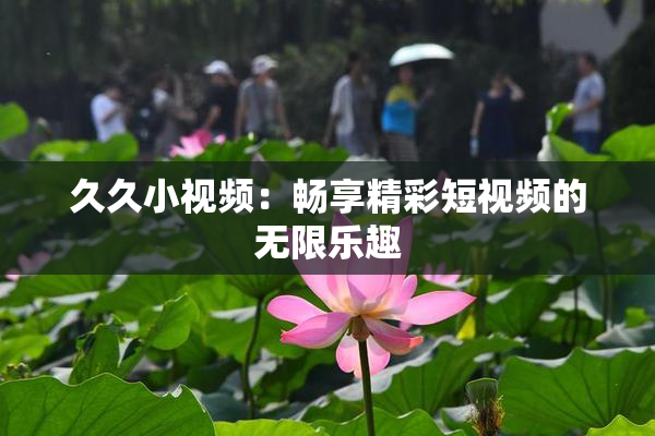 久久小视频：畅享精彩短视频的无限乐趣
